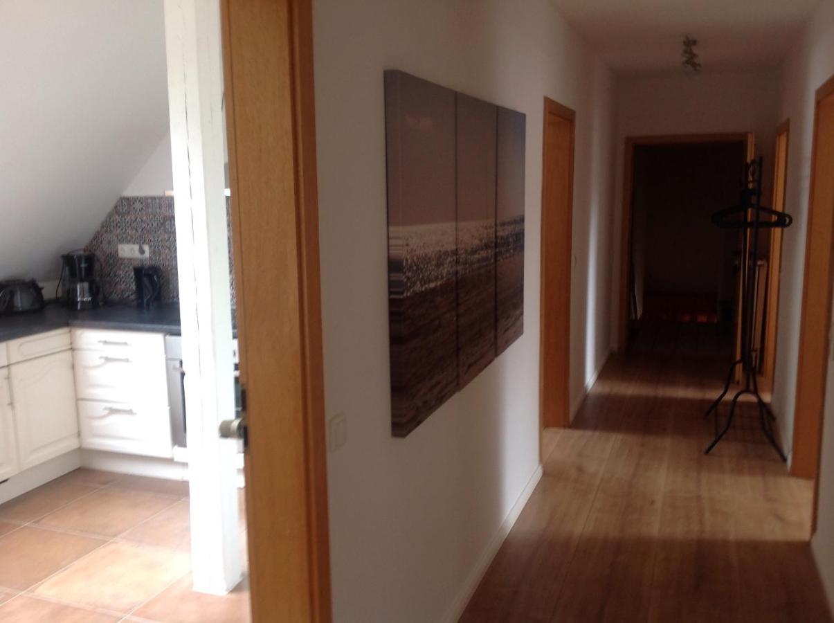 Landhaus Hohenfelde Hohenfelde  Εξωτερικό φωτογραφία